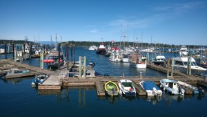 A wharf in Nanaimo, BC with multiple boats docked