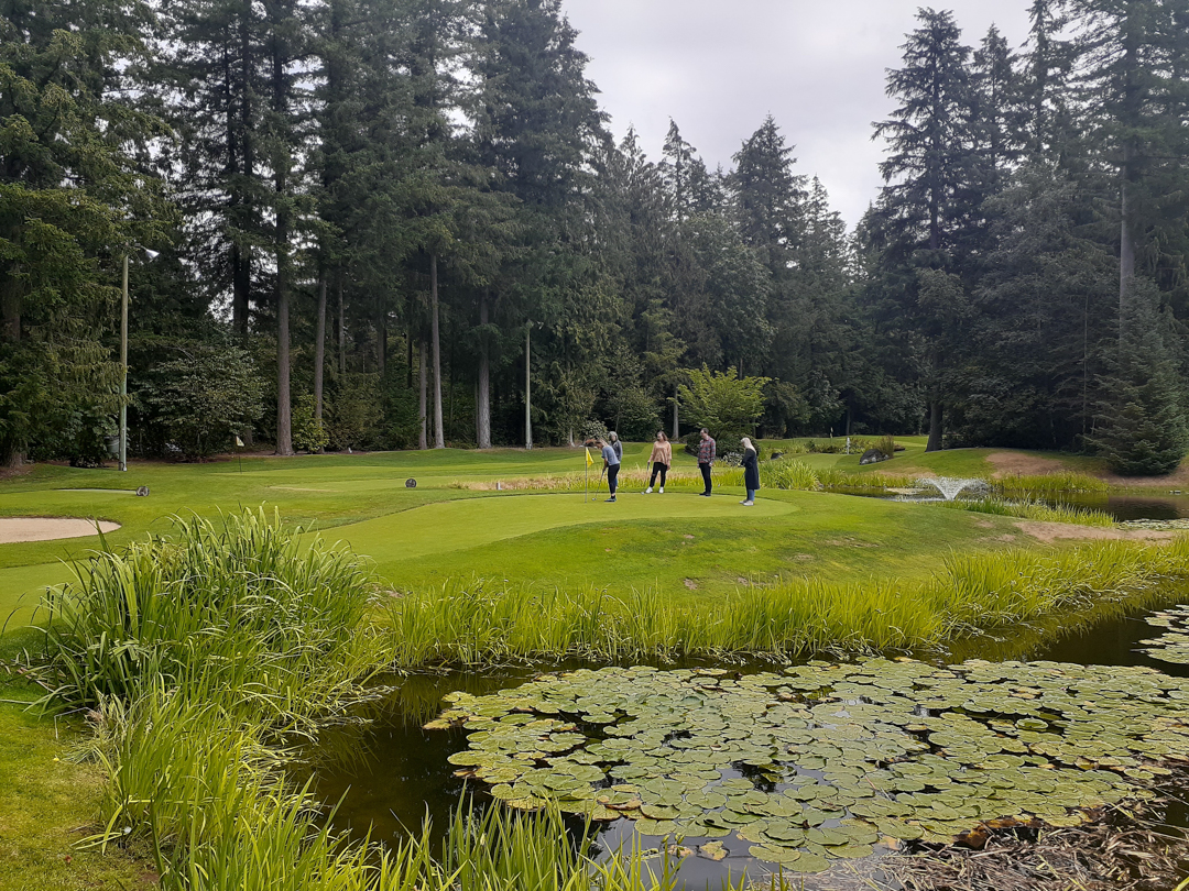 Wide shot photo of CHASI team members putting, taken from a distance across a pond covered in lily pads. 
