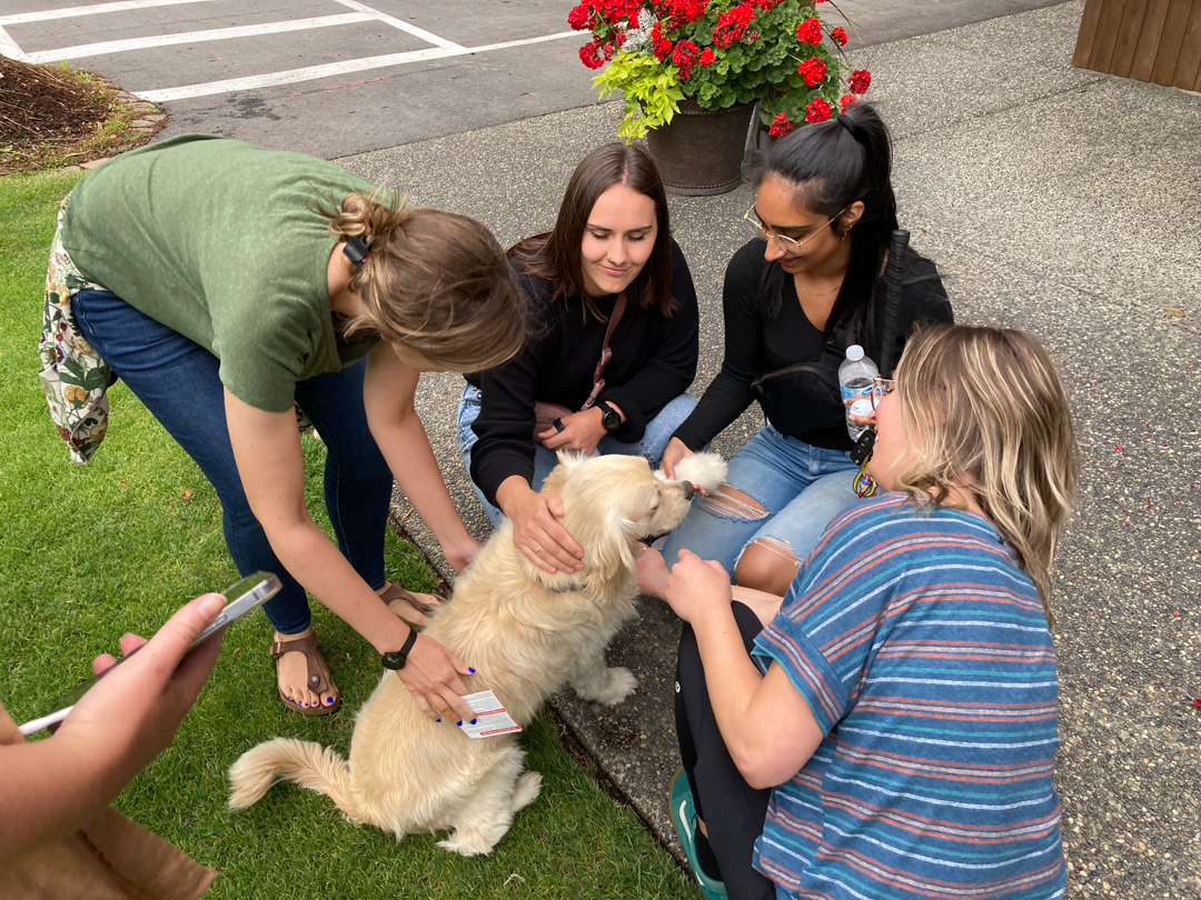 CHASI team members crowd around a very cute small golden retriever named Cooper at the putting course and pet him. 