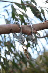 handcuffs for lucys post