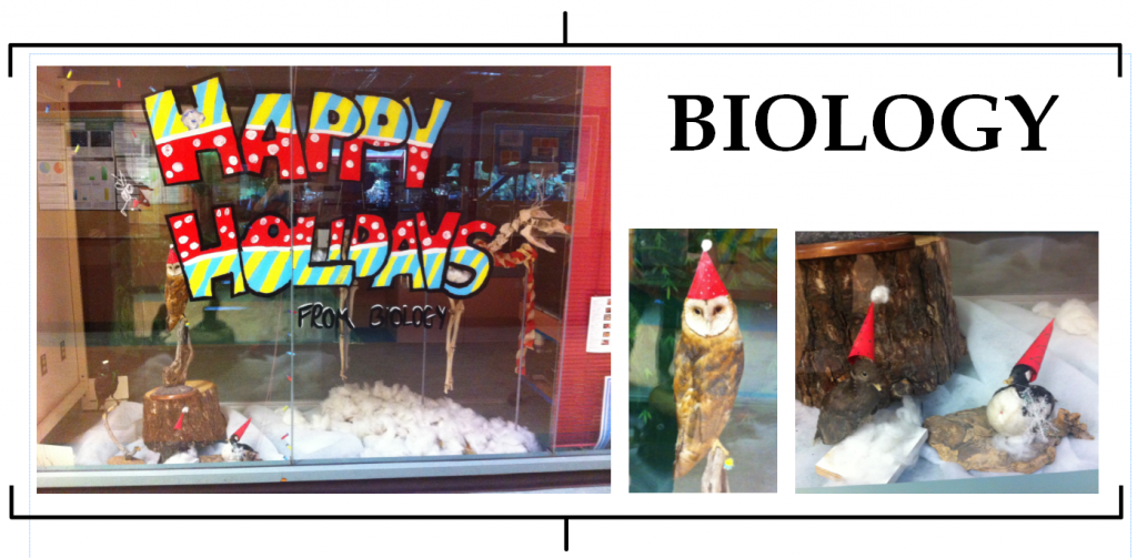 2014-biology-christmas