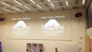 At the British Council Session we had a speaker from the Ugly Animal Preservation Something. No one was really sure why he showed up, but it was an entertaining presentation.