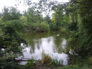 The Royal Gardens behind Buckingham Palace were absolutely beautiful. It's too bad the public were only allowed to view a portion of it from a distance