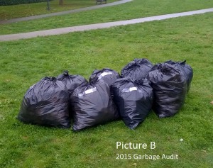 2015-Garbage Audit Picture b