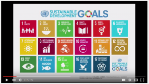 -_sustainable_development_goals_2015-summary