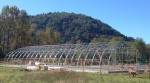 The polyhouse, along with other facilities, is now under construction at the B.C. Agriculture Centre of Excellence at UFV. CropLife B.C. is donating funds towards a pesticide storage facility on the same site.