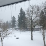 A snowy day image from 2014.