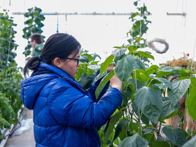 Tour UFV Chilliwack's agriculture facilities Nov 23 and hear about the programs the university has to offer.