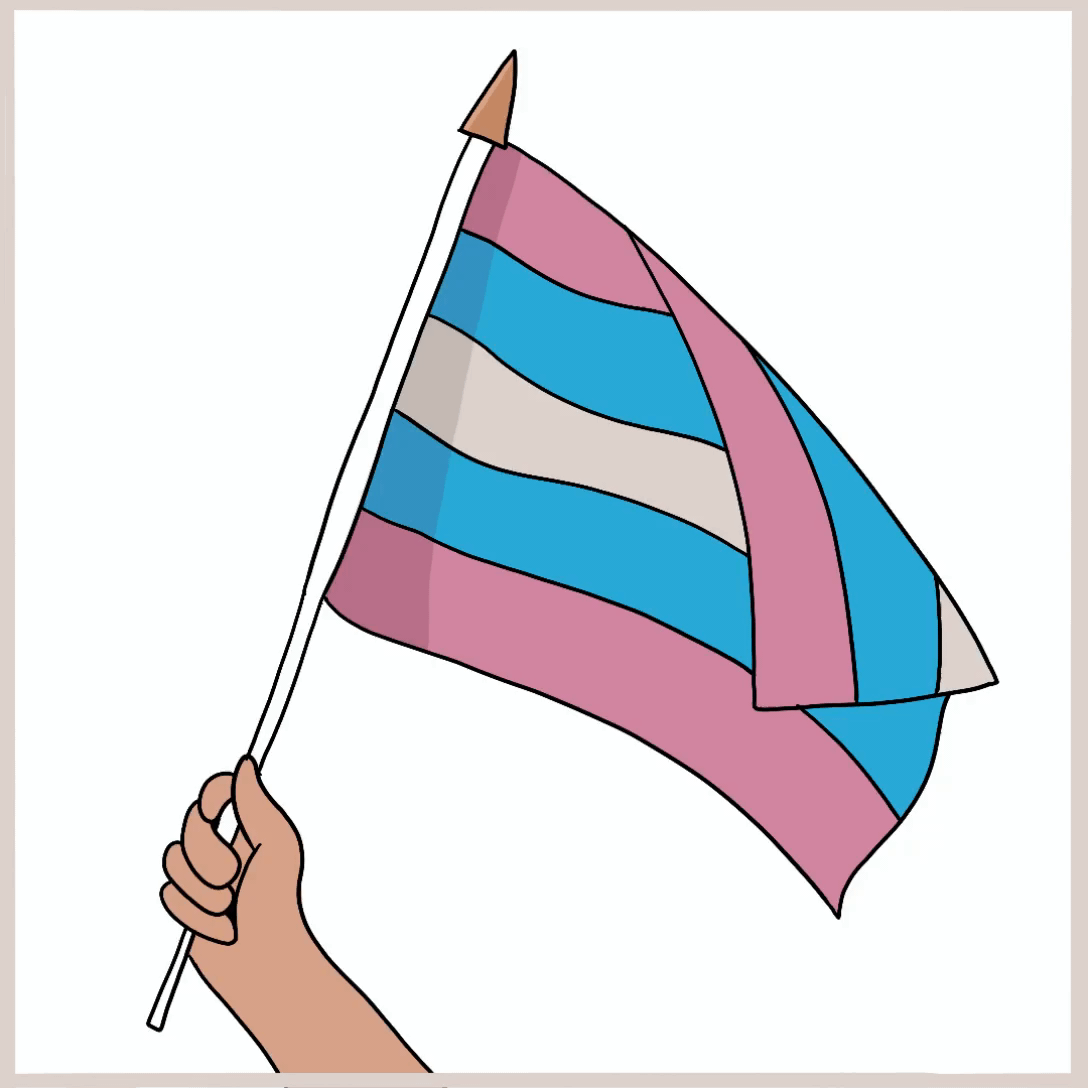 An animation of a hand holding up a transgender pride flag