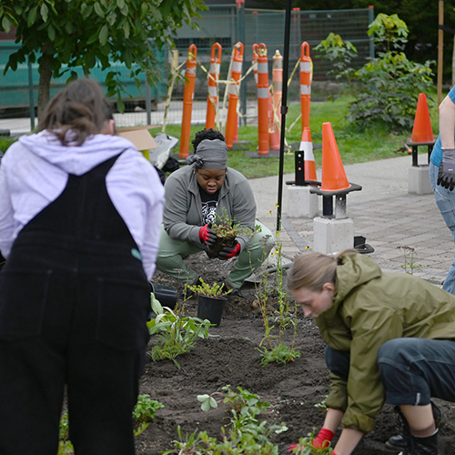 Photo of a group of people planting plants in the UFV pollinator garden.