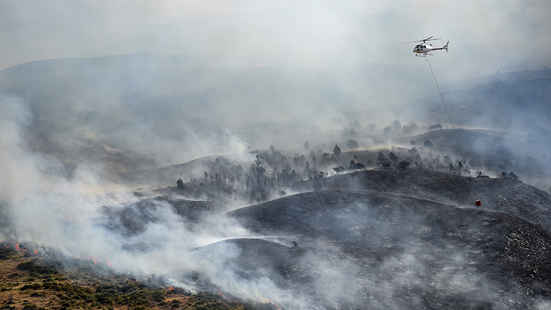Stock photo of an aerial view showing a wildfire, mostly extinguished, with a helicopter dropping water on it. There are many burned trees and thick smoke.