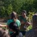 One potato, two potato … Potato harvest with AGRI 321 students and Dr. Javad Hadian