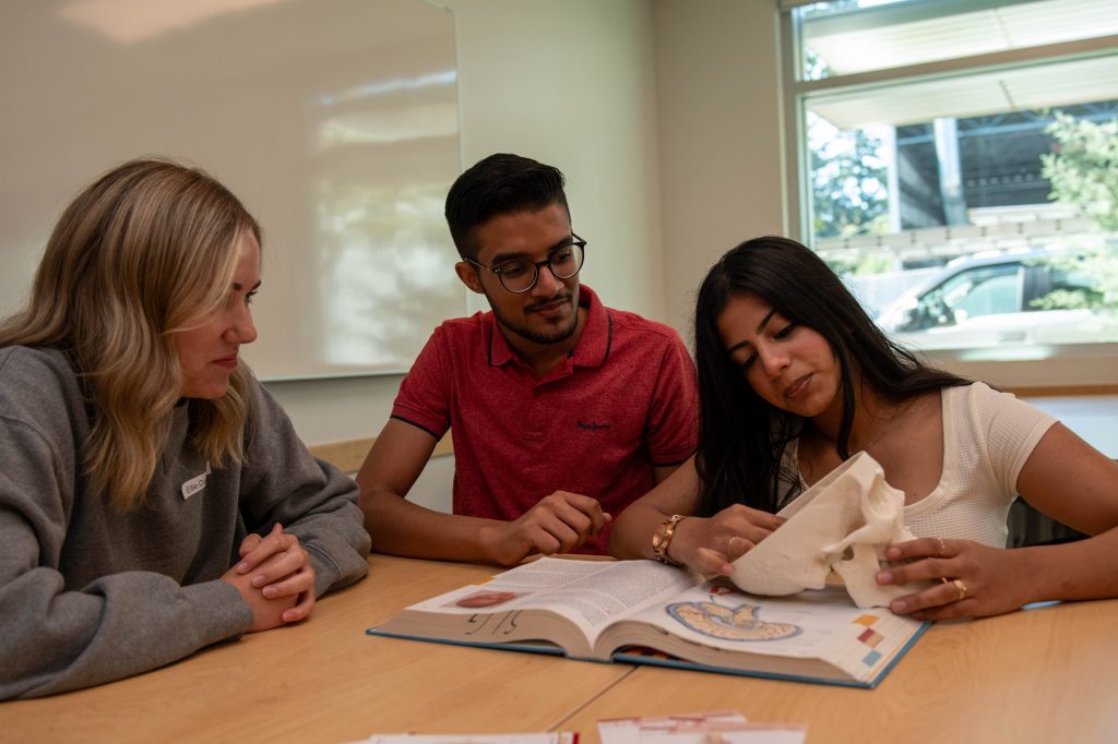 Students looking at a skull with textbook open showing the brain diagram.