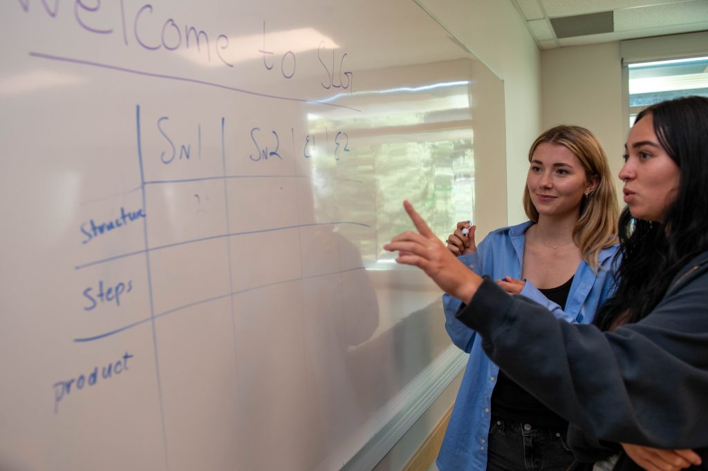 2 students with a grid on a whiteboard and one is pointing to the board.