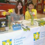 Daffodil stand 2011