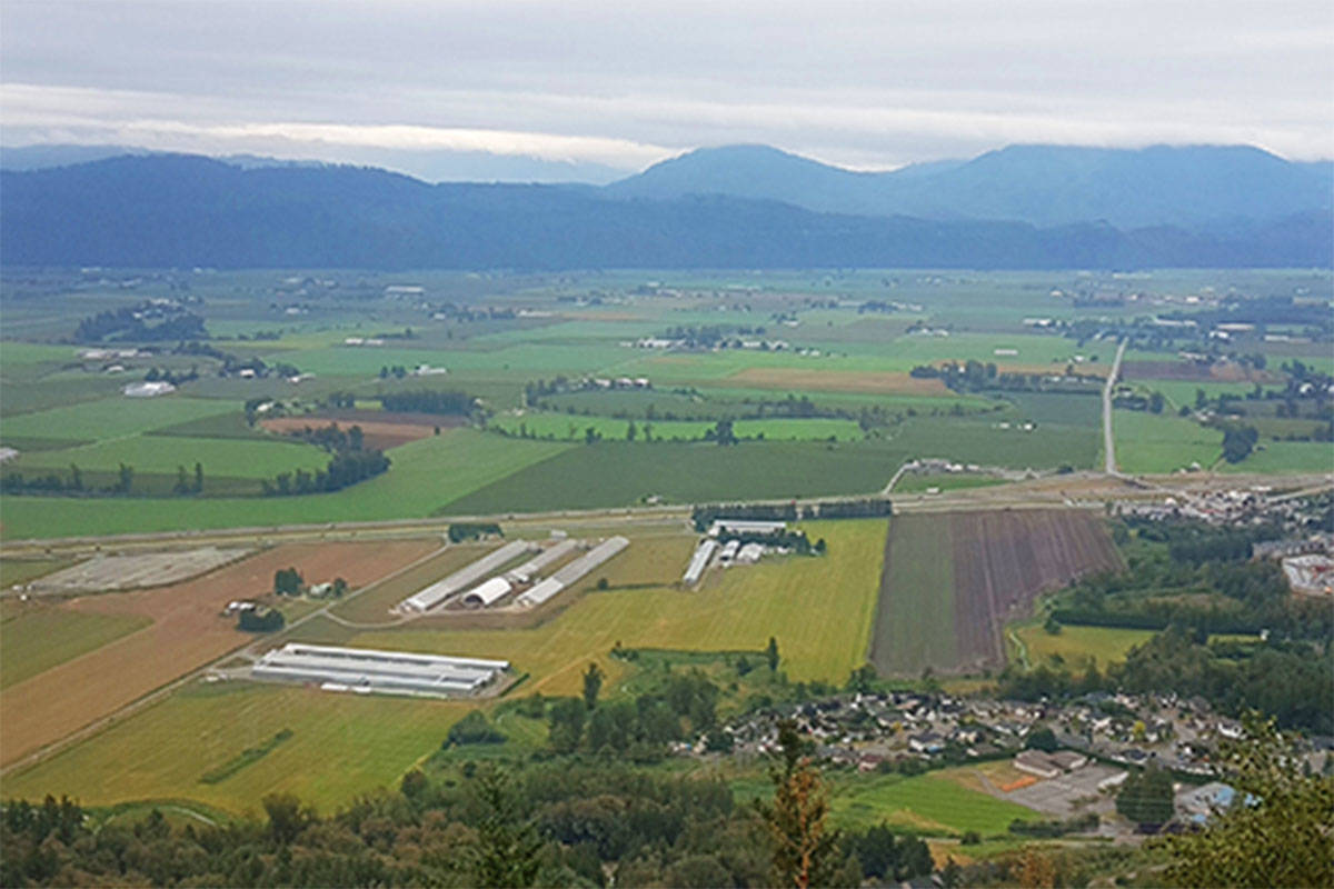 UFV Food and Agriculture Institute receives close to $235,000 in funding from Future Skills Centre