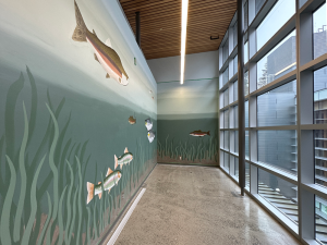 Mural painting of salmon on a wall next to a window