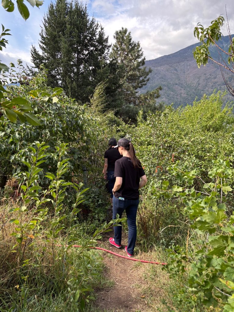 Two women walking on a path in the food forest at Kanada Bar. 